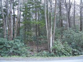 #46 Maple Ln