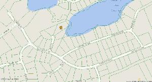 Lot #7 CATFISH CT