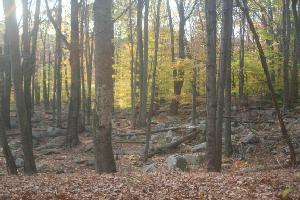 Lot 77 SKYLINE DR