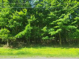 Penn Forest Trl