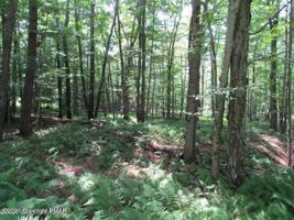 CC90 Delbert Dr