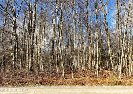 LOT 11 WYOMISSING Drive
