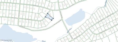 Beaver Drive