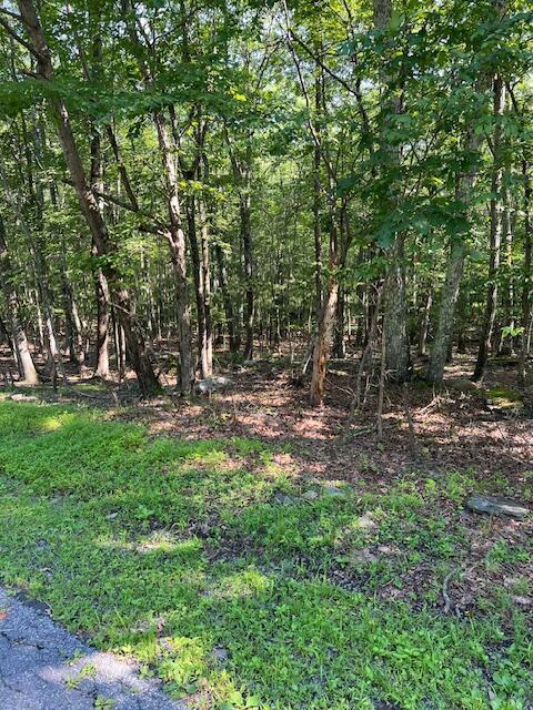 Image 1: IMG_7609 (1)