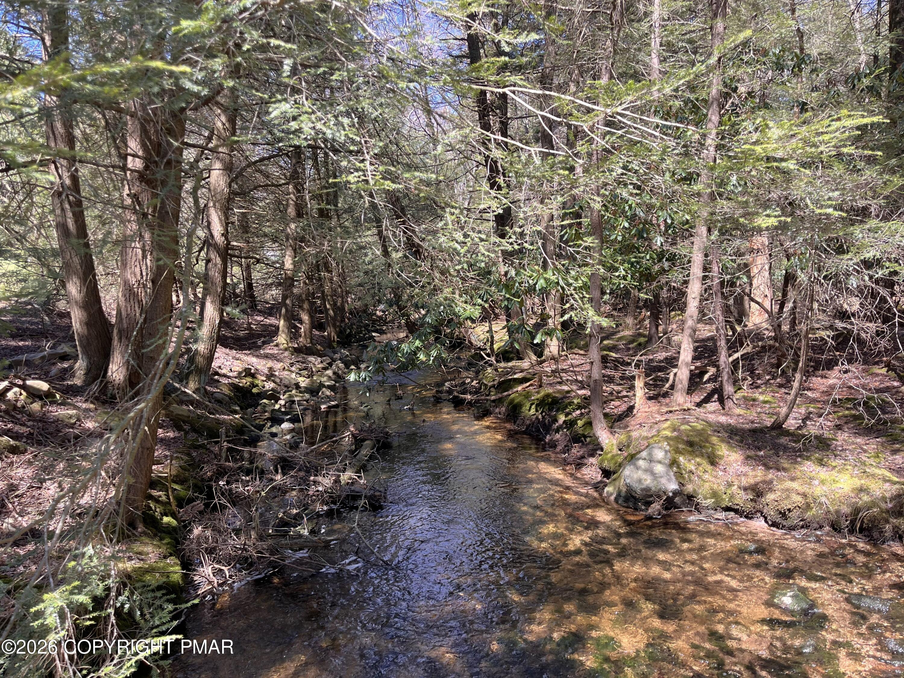 Image 2: Creek on Property