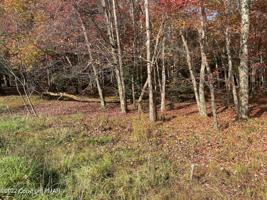 Lot 103 Crescent Way