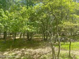 Red Ridge Trail