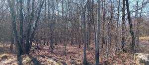 EV806 Stoney Mountain Road
