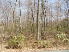 H27 Wolf Hollow Road & Barni Ln