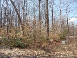 H31 Wolf Hollow Rd