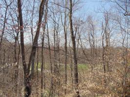 H28 Wolf Hollow Rd