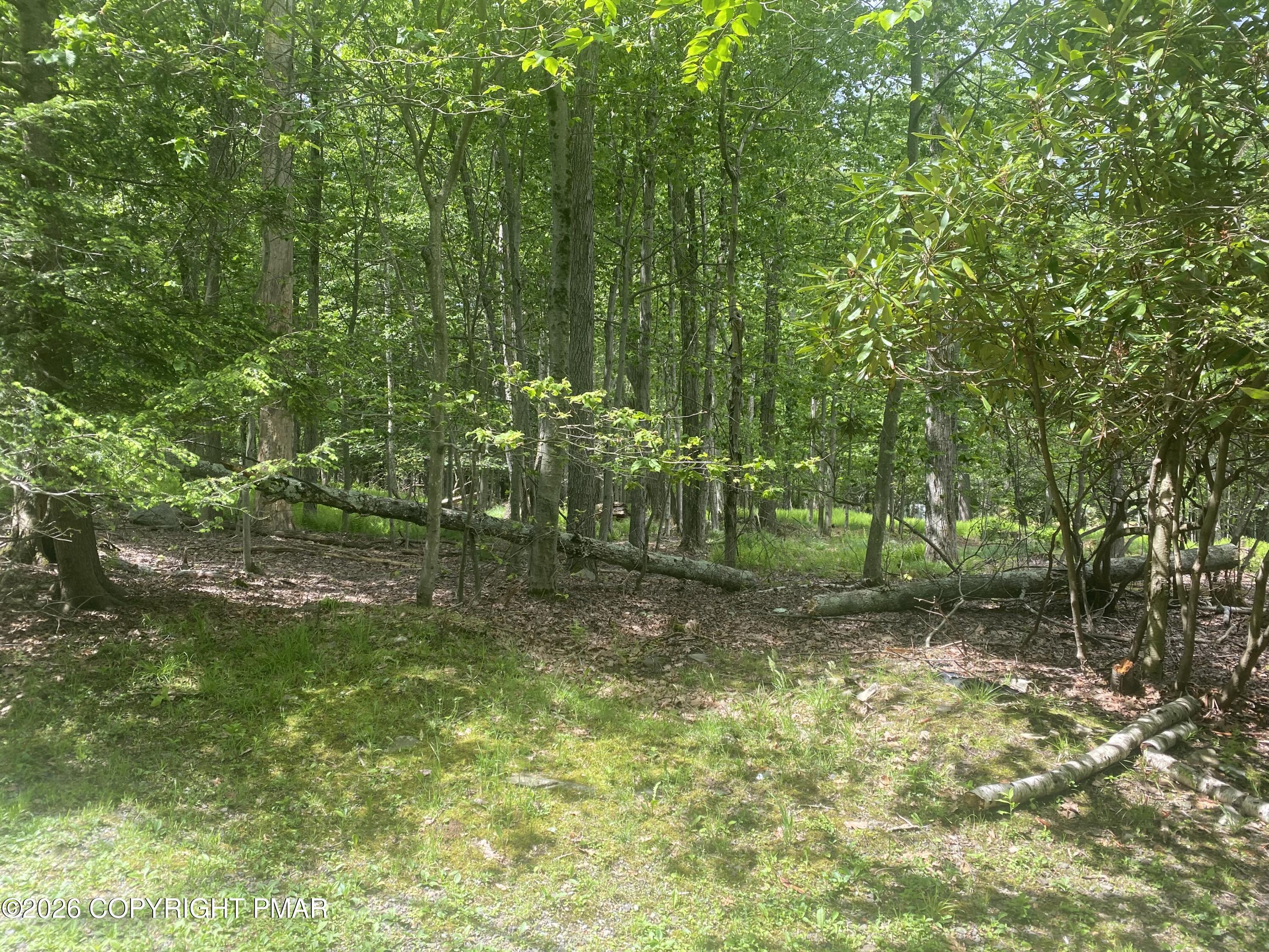 Image 2: Lot 86 dd