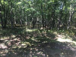 Lot 298 Byron Ln