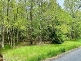 Lot 101 Crescent Way