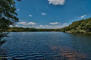 2452 Overlook Ln