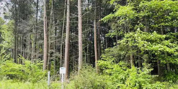 9 Driftwood Drive