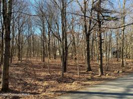 Maccauley Road