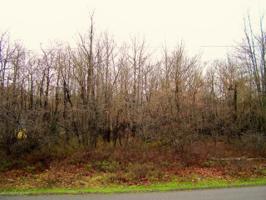 62 Crest View Road