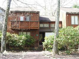 60 RED FOX CT