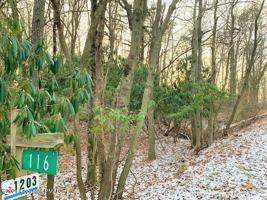 Lot 1202 E East EMERALD LAKE DR