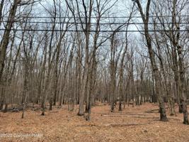 Lot A504 Woodland Rd