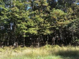 EV1369 Stony Mountain Rd