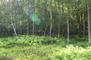 Lot 325 Towamensing Trl