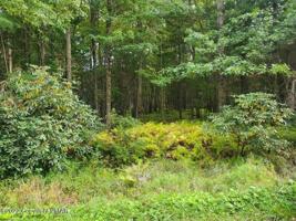 Lot 14 MILLERS Drive