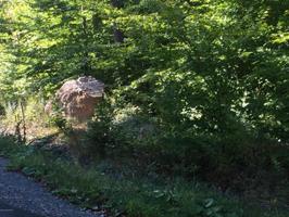 LOT 91,92 Gross DR