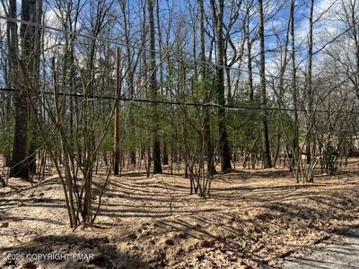 Lots 22 & 24 Daffodil Road