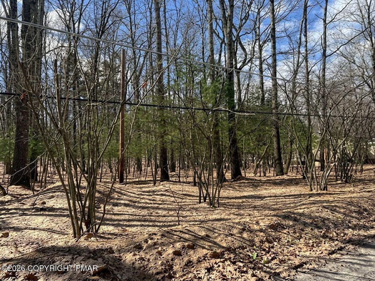 Image 1: 9C1A3E71-76B4-4E63-A5A8-08425703510B_4_5