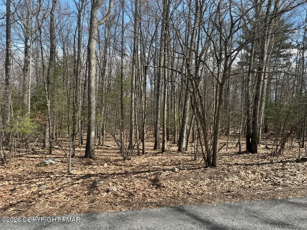 Image 2: 7E010E07-91E6-4FB7-960D-FA4CBB11DE21_1_1