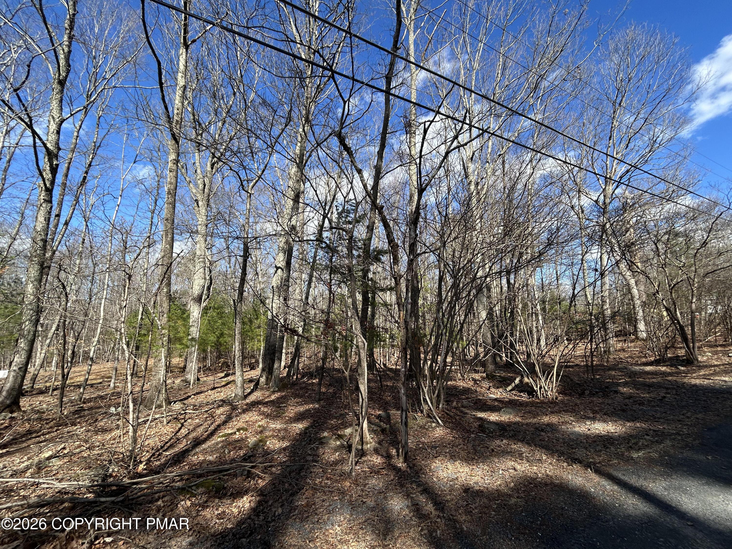 Image 3: 0456E460-EE2A-47EC-AEE8-9A053FDF98C4