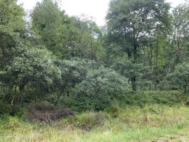 Lot NII523 Penn Forest Drive