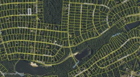 K203 Poplar Drive
