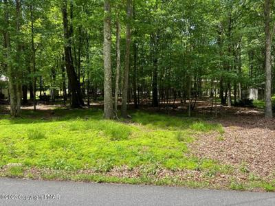 PARCEL22A-51-B725 Towamensing Trail