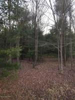 EV 384 Towamensing Trl