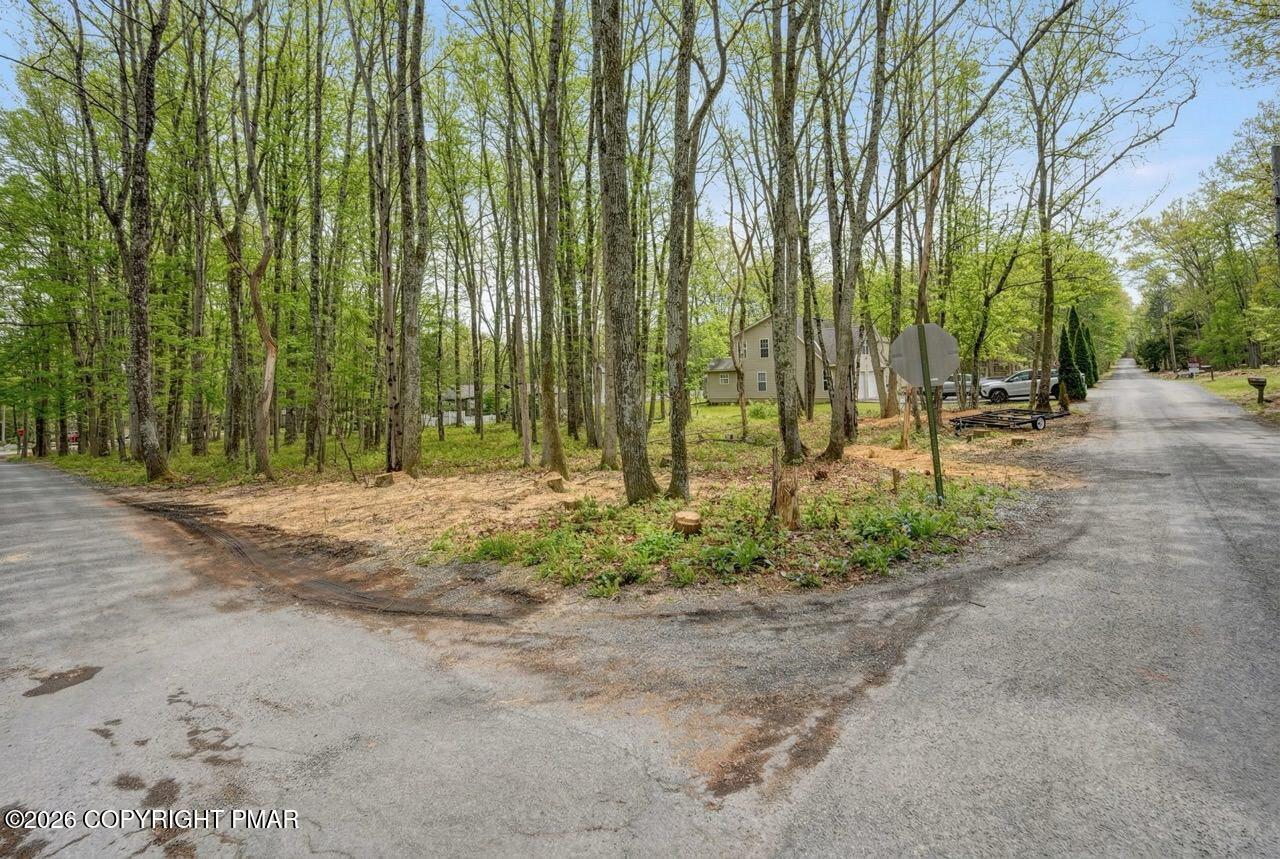 Image 2: Corner Lot!