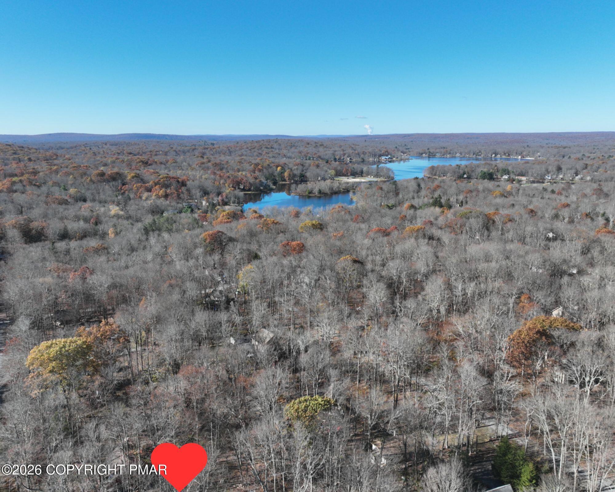 Image 2: AerialHeart1