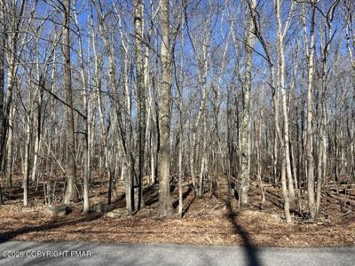 Lot 21 Pocono Forested Drive