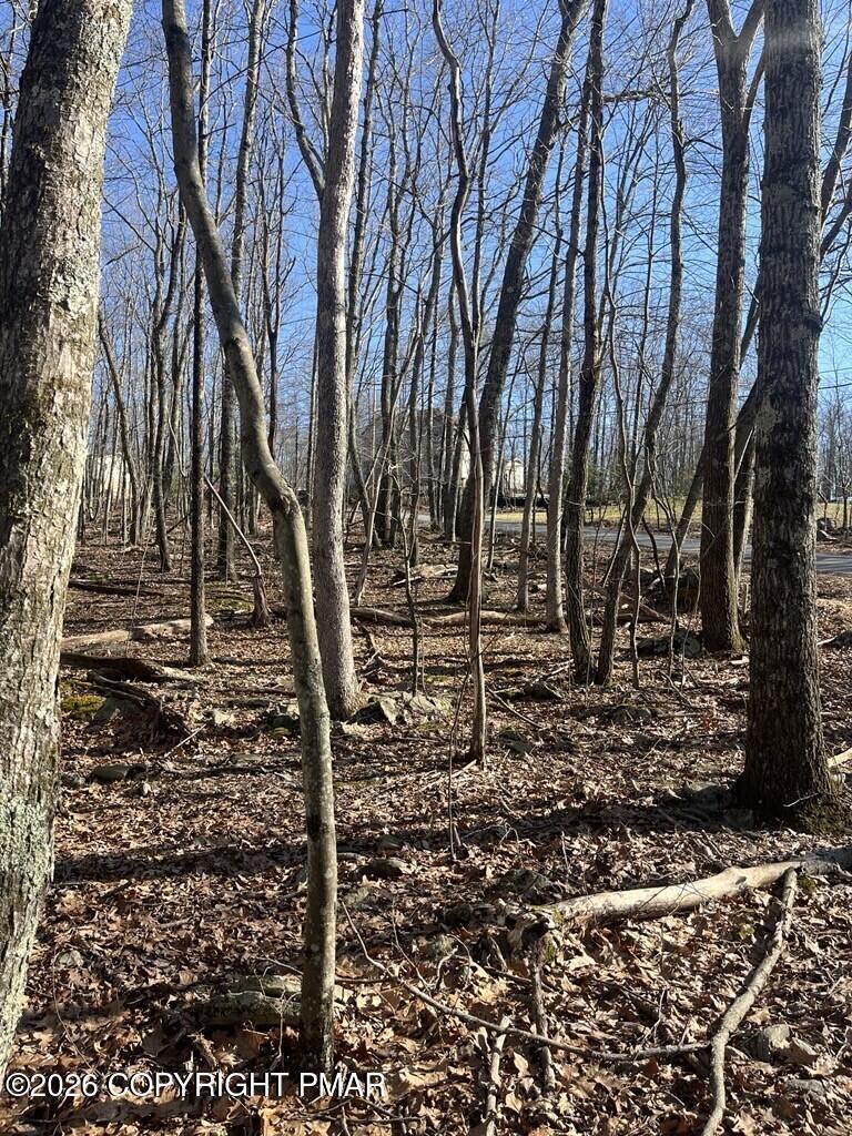 Image 4: Pocono Forested Dr 3