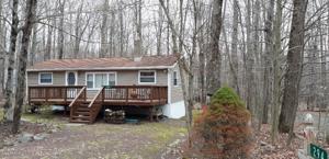 294 Maxatawny Dr