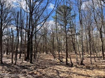 Lot EV1100 Petrarch Trail