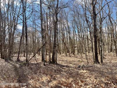 Lot EV1101 Petrarch Trail
