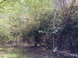 Miller DR