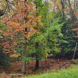 Dryden Drive