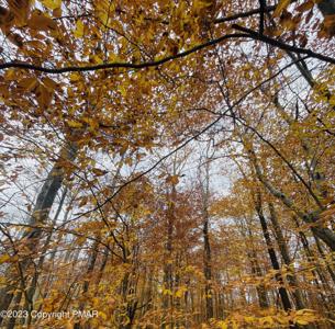 CLEARBROOK Drive