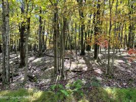 LOT 22 BRIER CREST Road