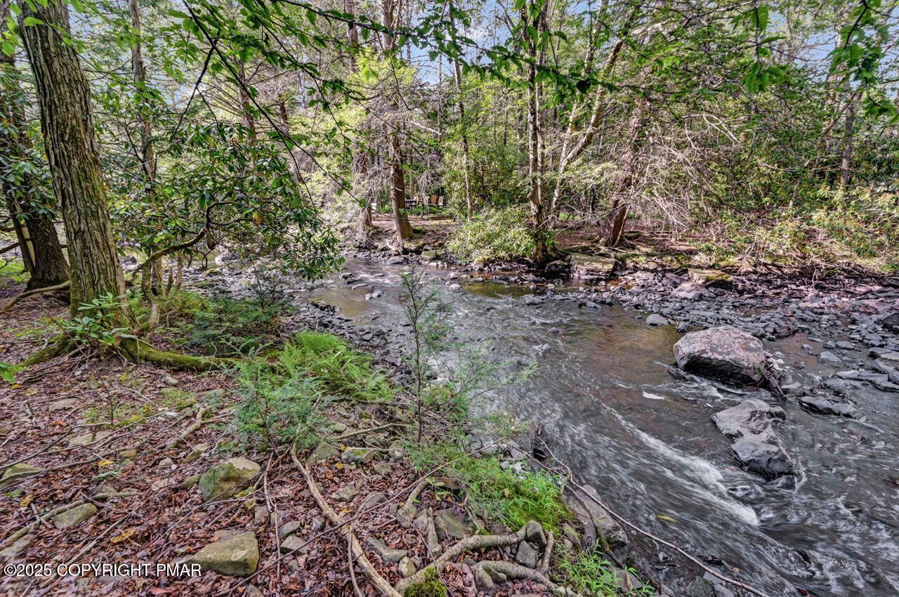 Image 2: 187 Tanglewood Drive, Lake Naomi