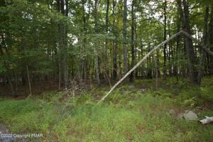 Woods Rd #28